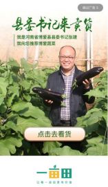 博爱县委书记一亩田直播首秀，为家乡蔬菜倾情代言