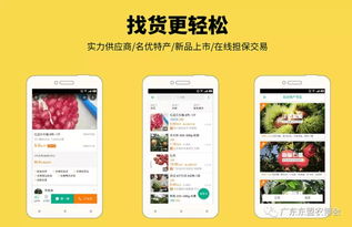 互联网+农业引领新风尚 一亩田平台助阵农博会